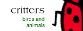 Animal and Bird Information Link